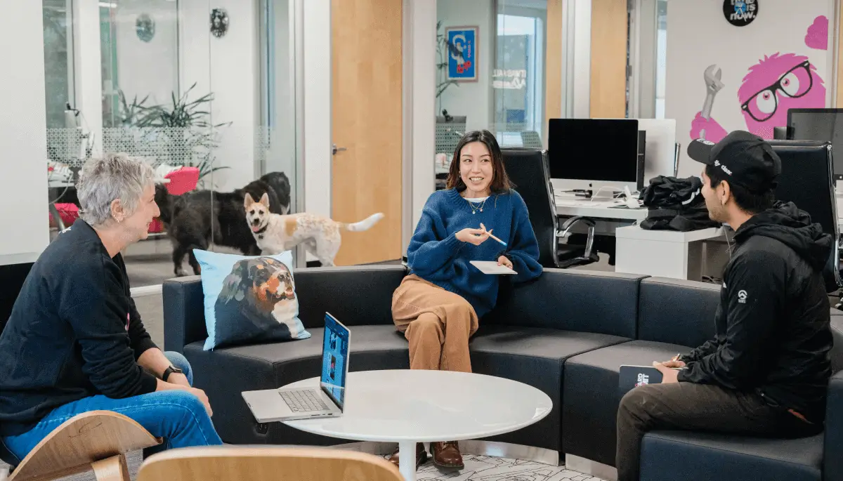 WordPress Maintenance onboarding process