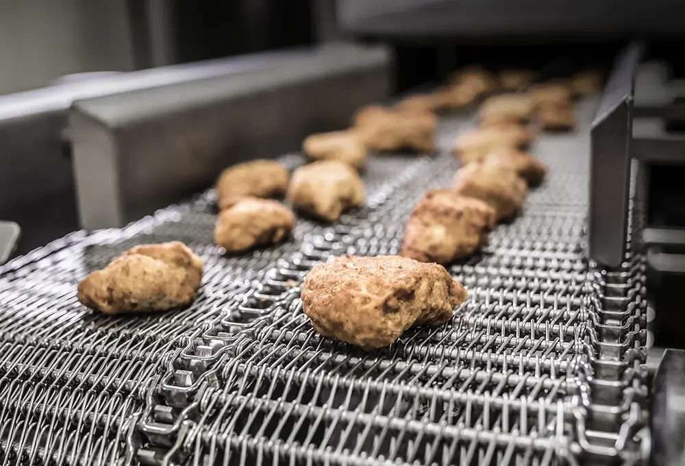 Food pieces moving on an industrial conveyor belt.