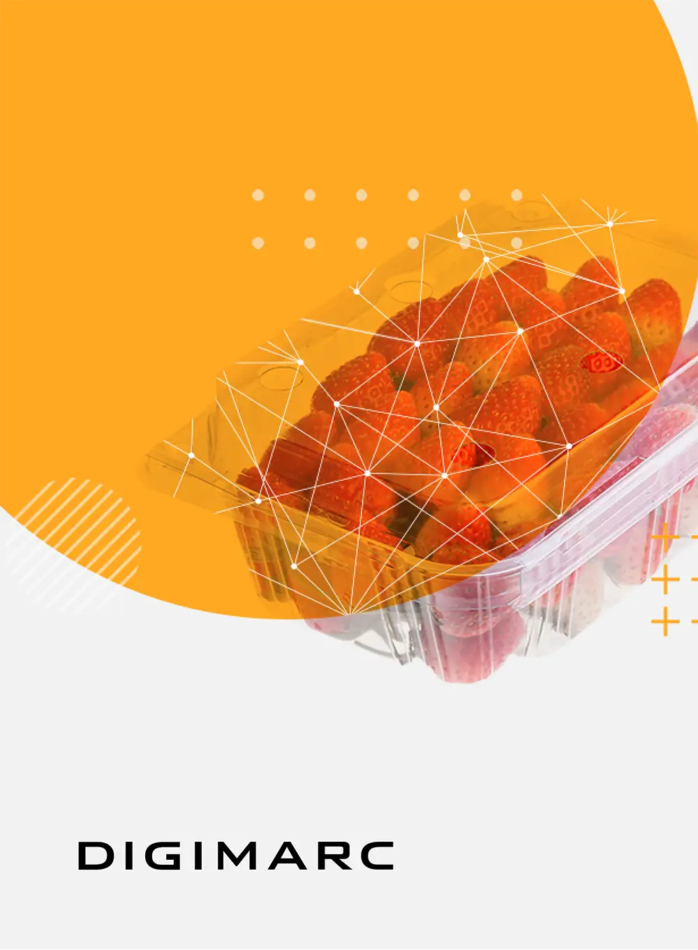 Carton of strawberries with digital network overlay under a large orange shape and Digimarc logo.